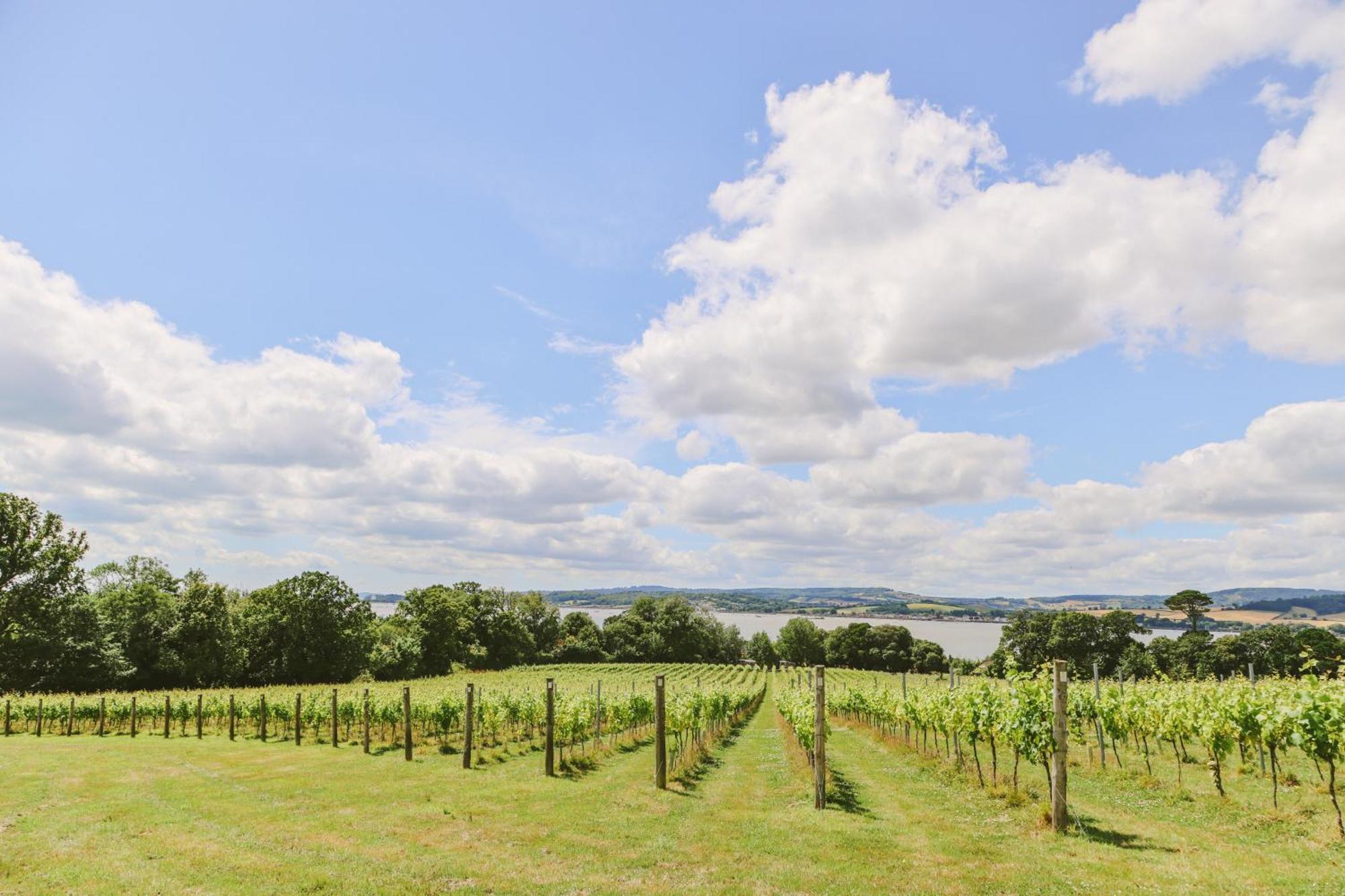 Lympstone Manor Hotel Restaurant & Vineyard - Relais & Chateaux Exmouth Exterior foto