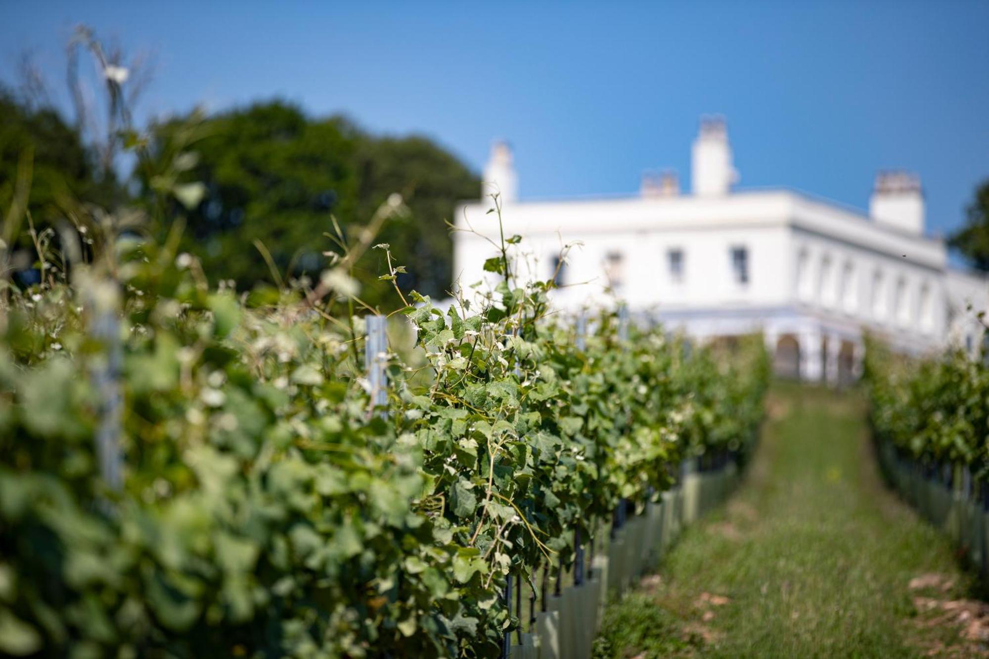 Lympstone Manor Hotel Restaurant & Vineyard - Relais & Chateaux Exmouth Exterior foto