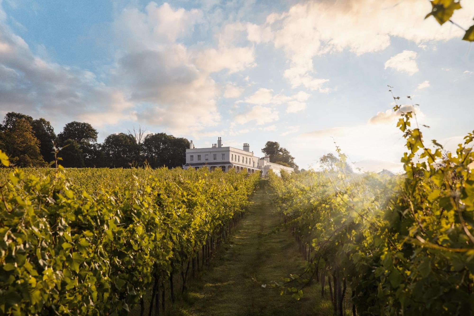 Lympstone Manor Hotel Restaurant & Vineyard - Relais & Chateaux Exmouth Exterior foto